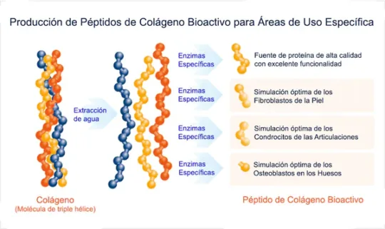 Puromenu Pura Agilidad (Colágeno) 225gr - Imagen 3